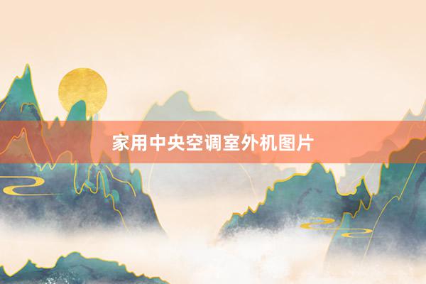 家用中央空调室外机图片